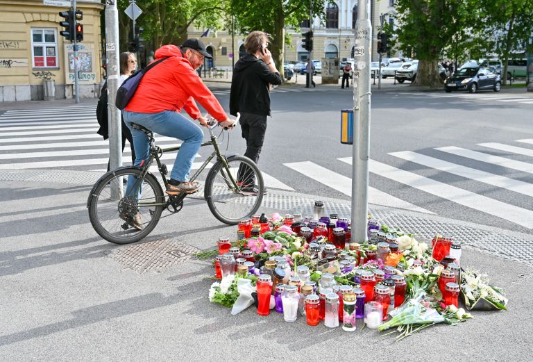 nesreca, ljubljana, tragedija, trol, lpp