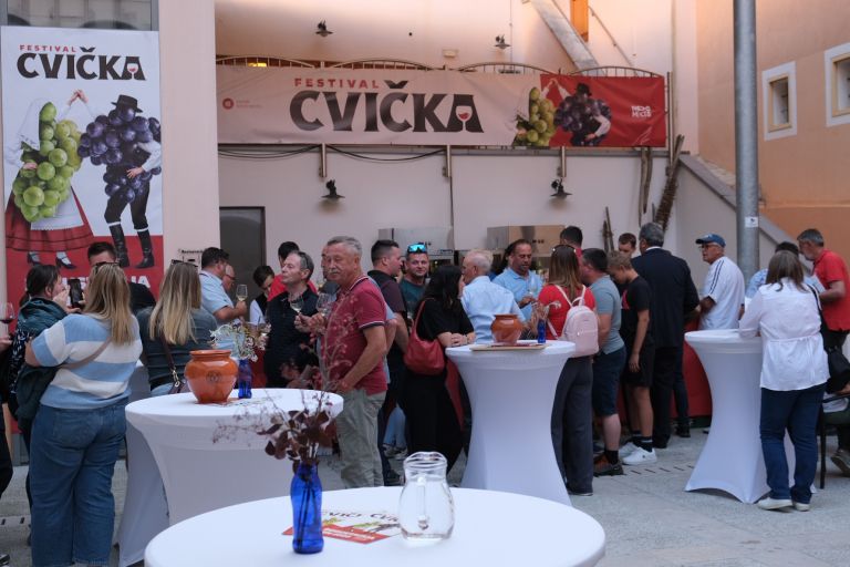 festival-cvicka