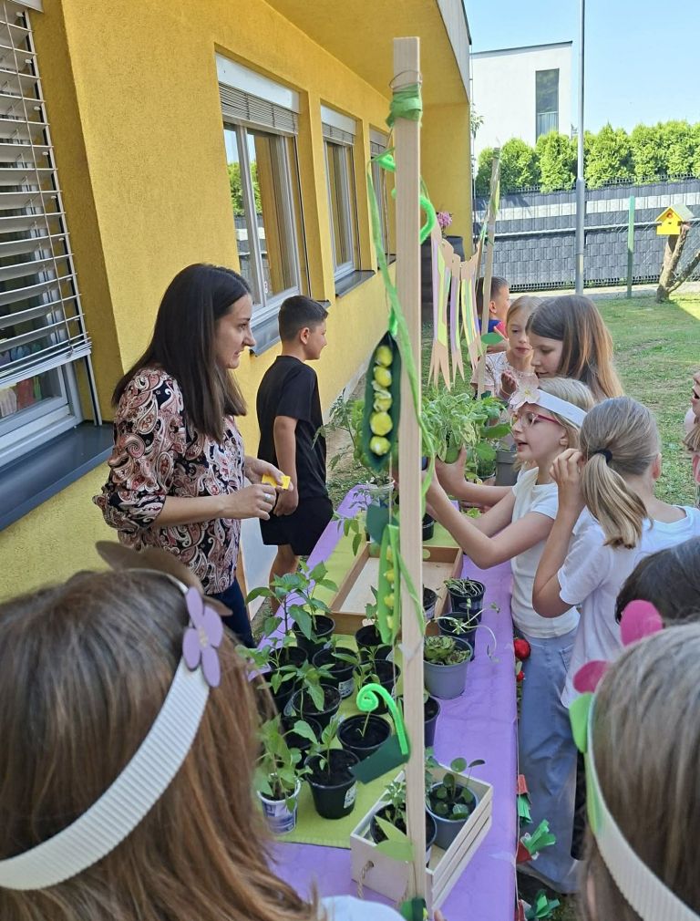 kupola, osnovna-sola-2-murska-sobota