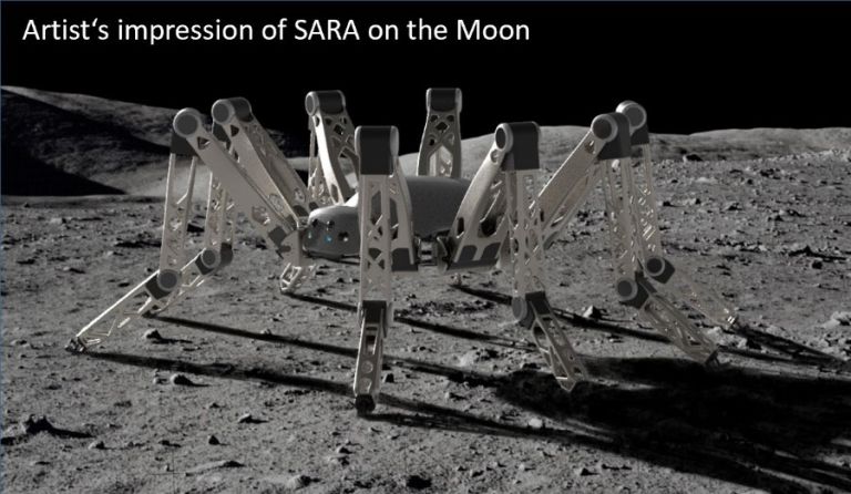 sara3.jpg