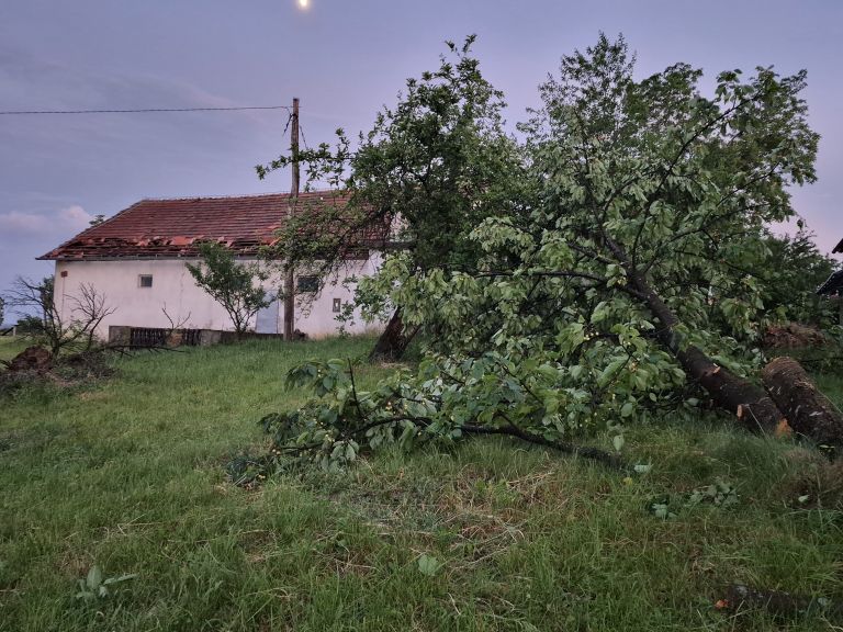 neurje, sveta-ana, odkrite-strehe, podrta-drevesa