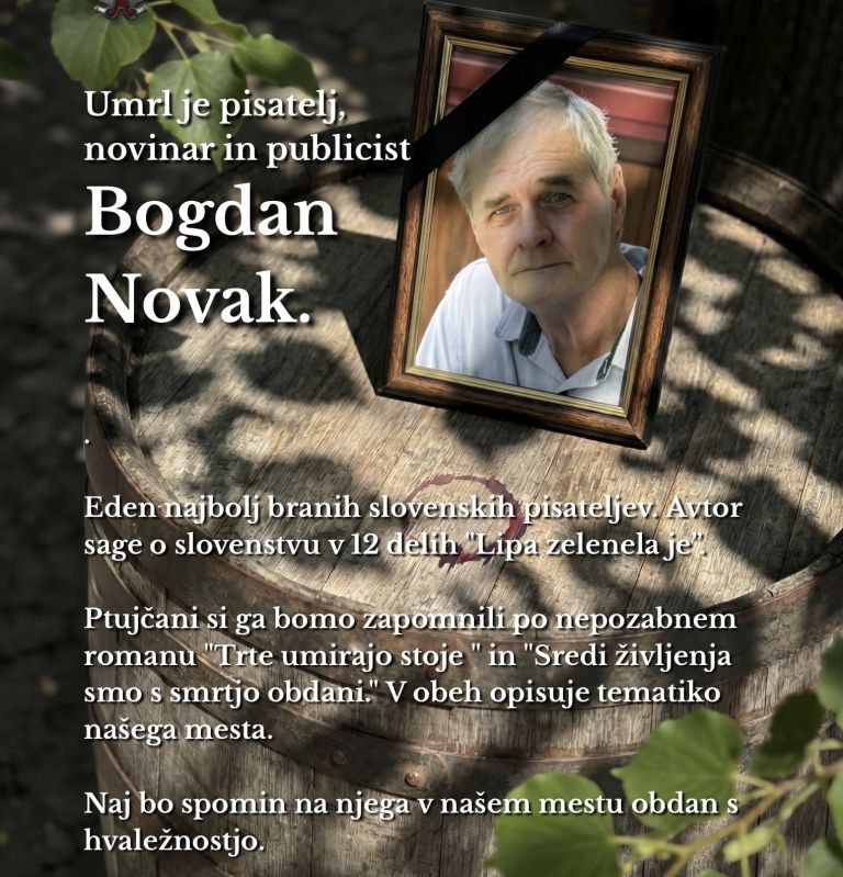 slika.jpeg