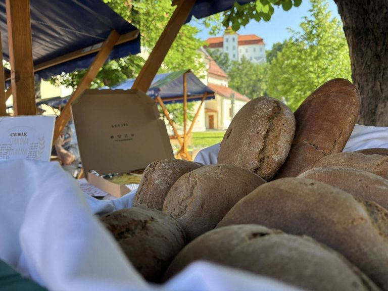 domaca-trznica-pod-kostanji, lendava
