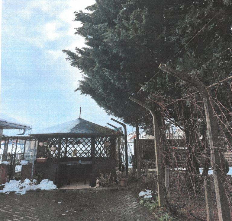 vaš-žulj, meja, smreka