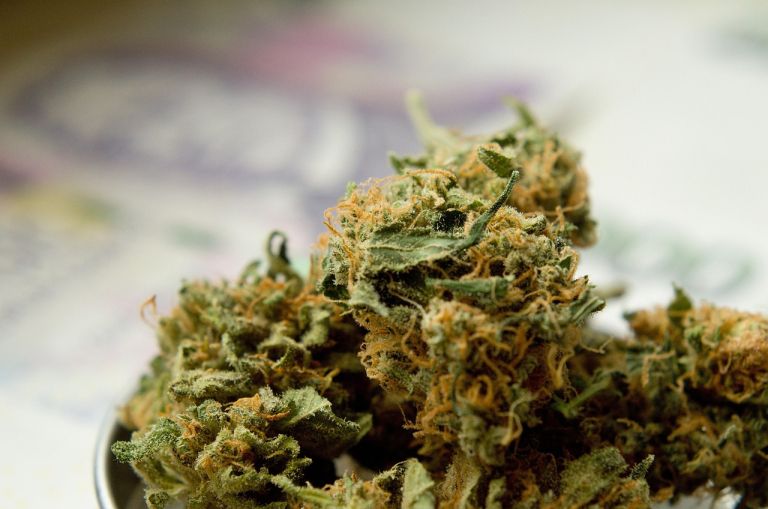 Lani je prednjačila konoplja, ki je že vrsto let najbolj razširjena in najlažje dosegljiva prepovedana droga.