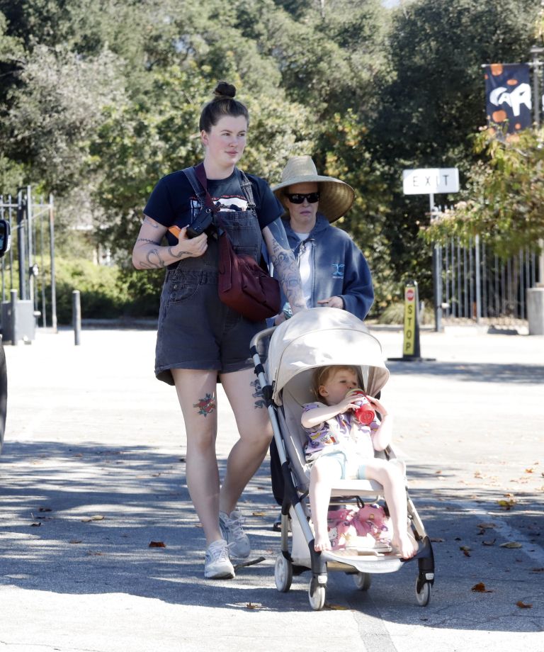 ireland baldwin 3.jpg