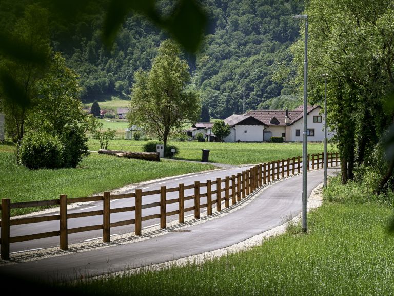 stolovnik, ribnik