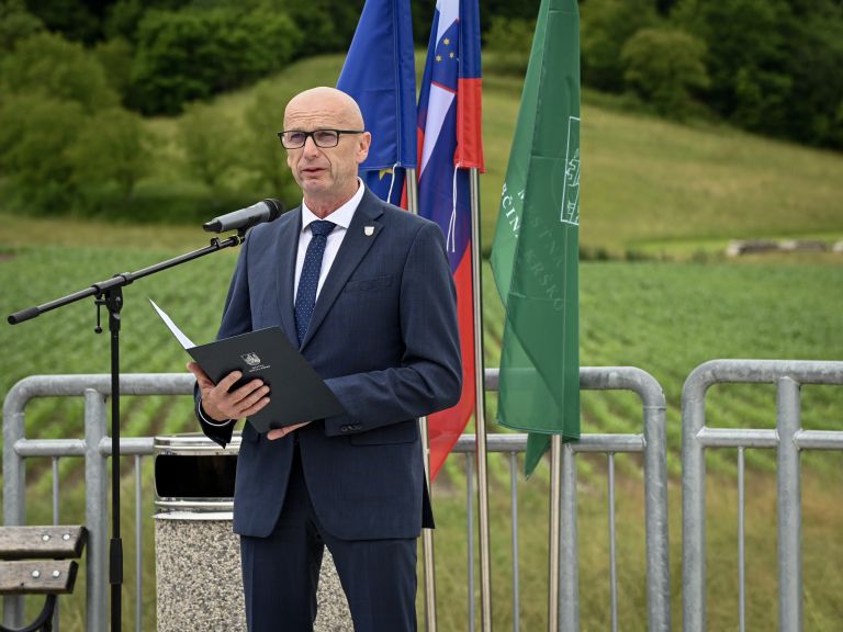 stolovnik, ribnik