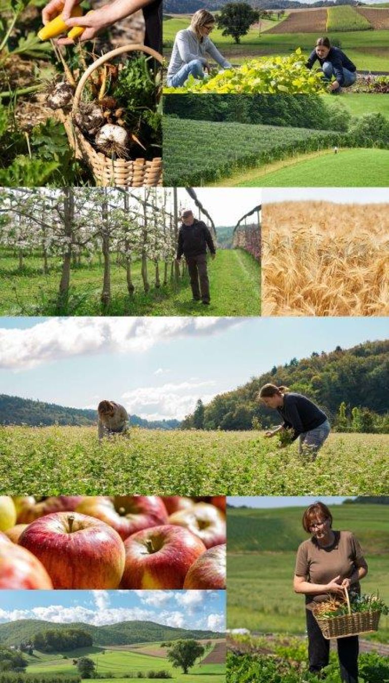sabina-in-grega-repovz