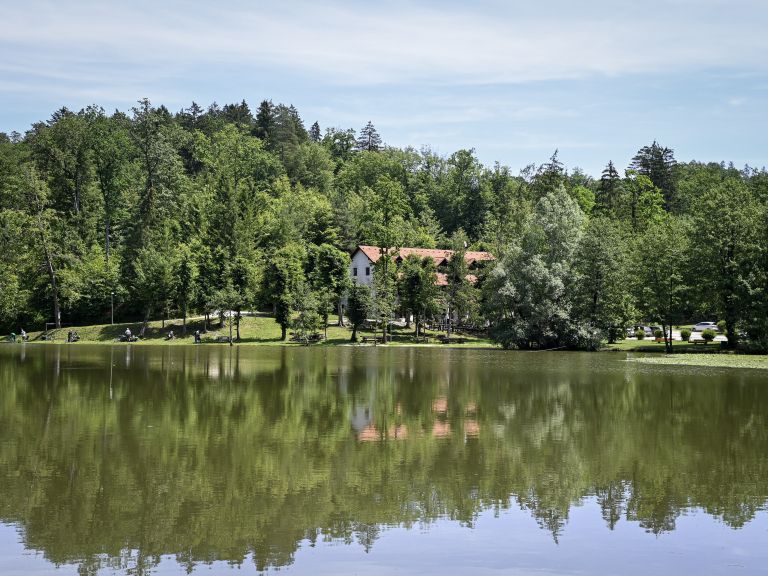 stolovnik, ribnik
