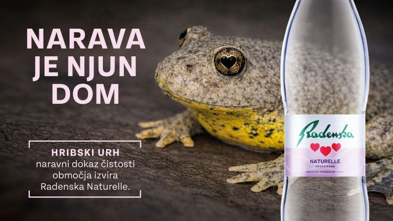 bioblitz, radenska, flora, favna
