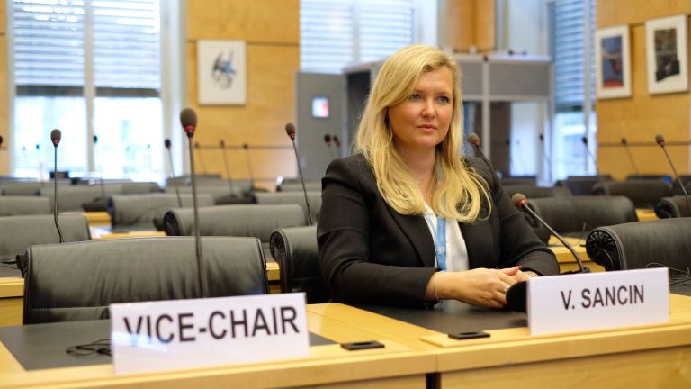 Prof. dr. Vasilka Sancin