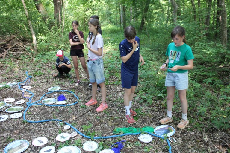 cezmejni-projekt, lets-flow-together, akcijski-dnevi-za-muro