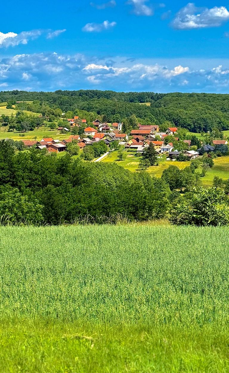 pohod-od-rotunde-v-selu-do-vidovega-brejga, pohod