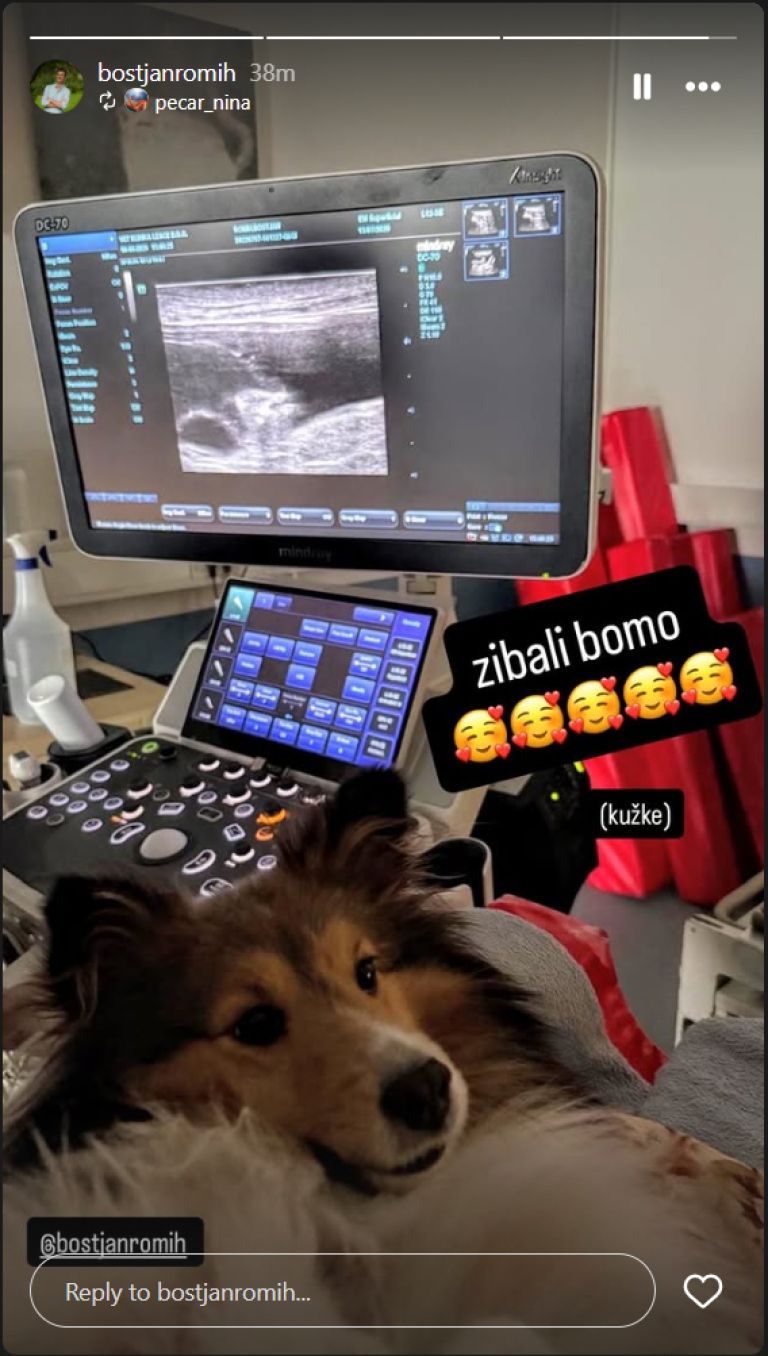 Boštjan Romih.png