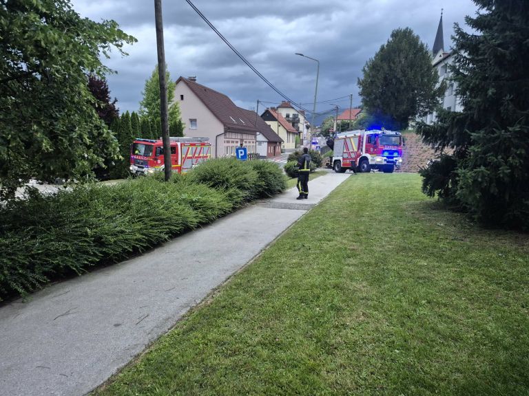 radlje-ob-dravi, lipa