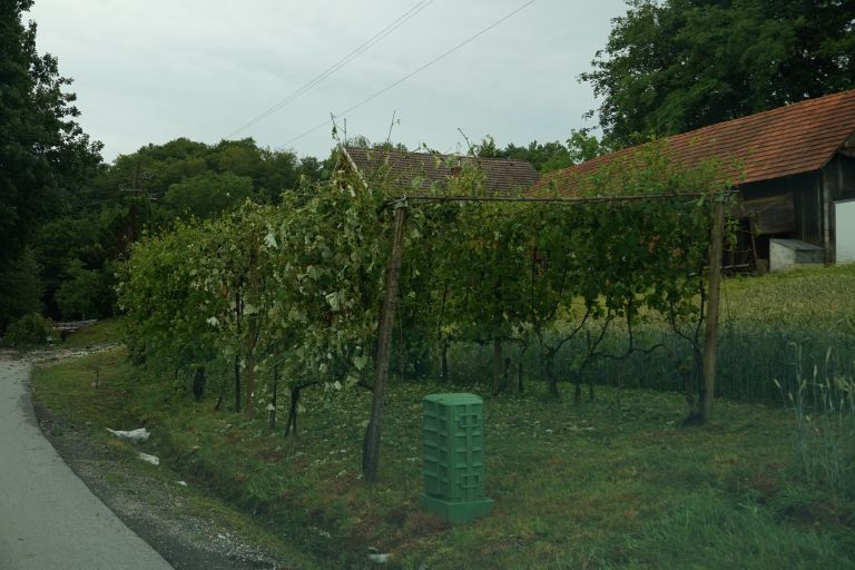 neurje, junij-2026, prlekija
