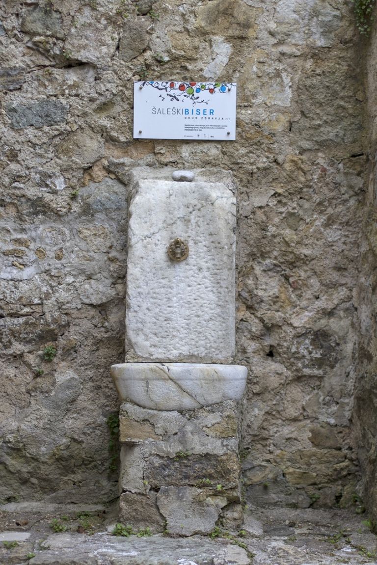 pitnik 1.jpg