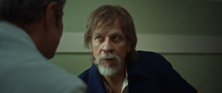 Ruski konzul, Žarko Laušević