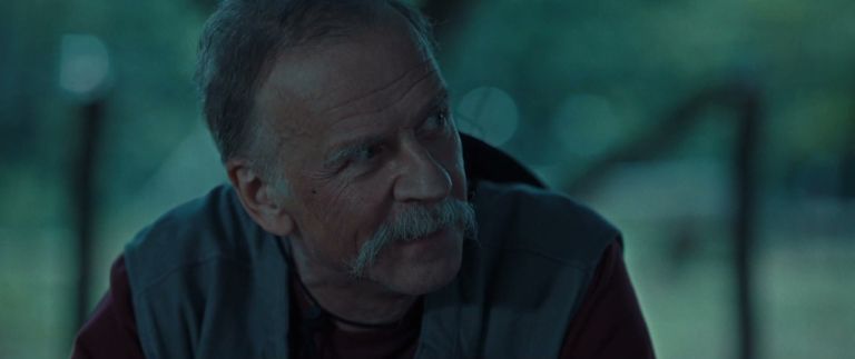 Žarko Laušević, Kalkanski krugovi