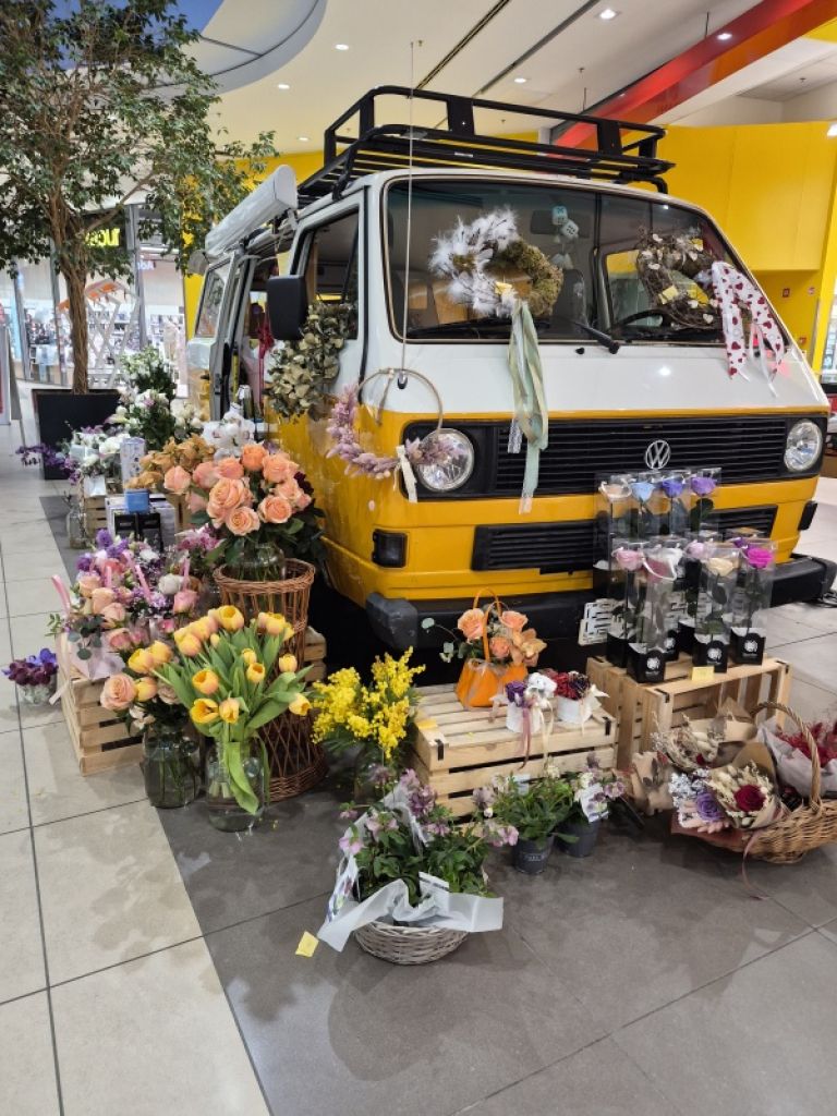 Naokoli potuje s prepoznavnim starodobnikom Volkswagen T3