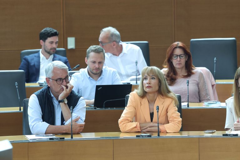 matjaz han poslanci-RB.jpg