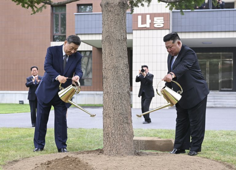 UV xi kim zalivata pf.jpg