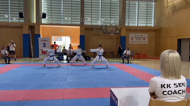 karate-klub-mirna-pec