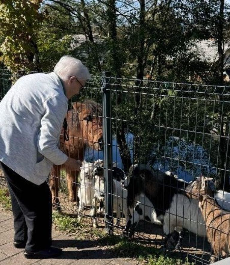 Stanovalcem doma stik z živalmi deluje terapevtsko
