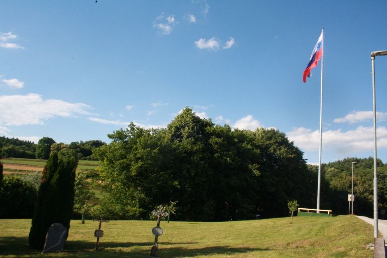 cesnje, brusniska-hrustavka, ivan-kralj, mestna-obcina-novo-mesto, razstava-cesenj