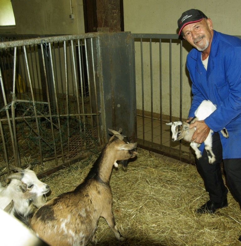 Ilija lepo skrbi za domske živali