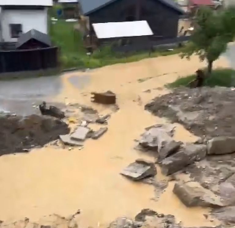 neurje, koroska