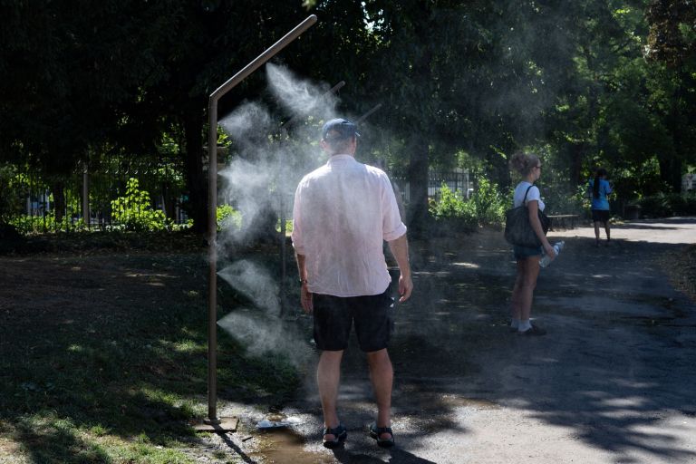 dijon, vročinski val.jpg