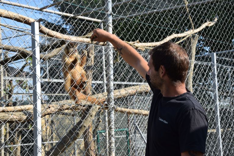 zoo-kamovci, teodor-cigan