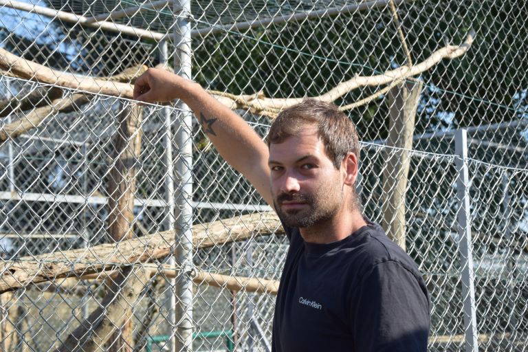 zoo-kamovci, teodor-cigan