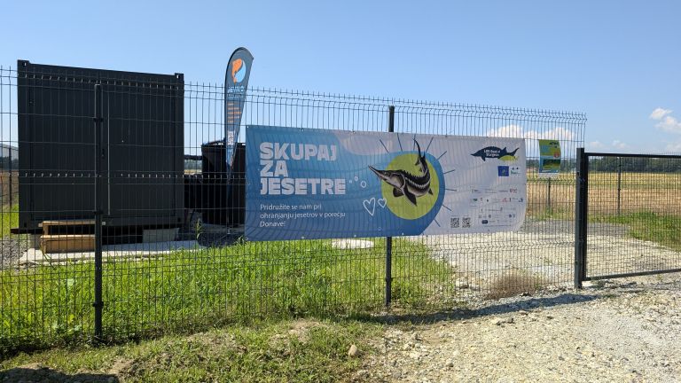 Valilnica murskega zmaja v Apacah.jpg