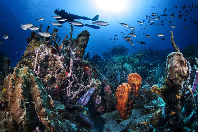 Curaçao