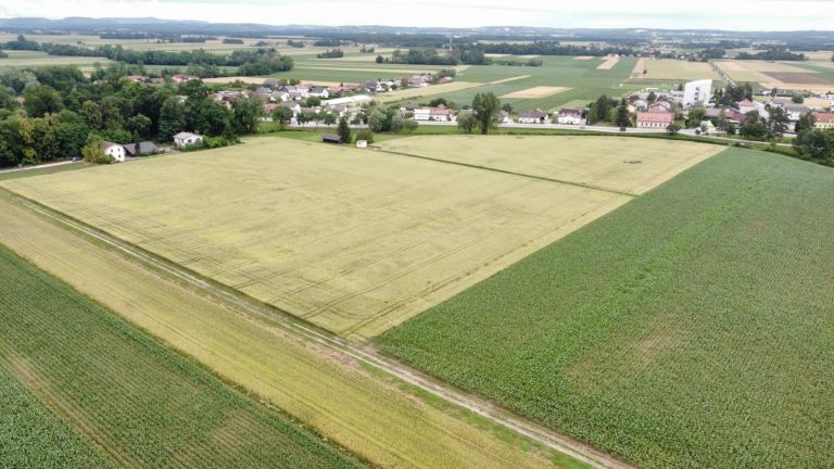 Sklad kmetijskih zemljišč in gozdov
