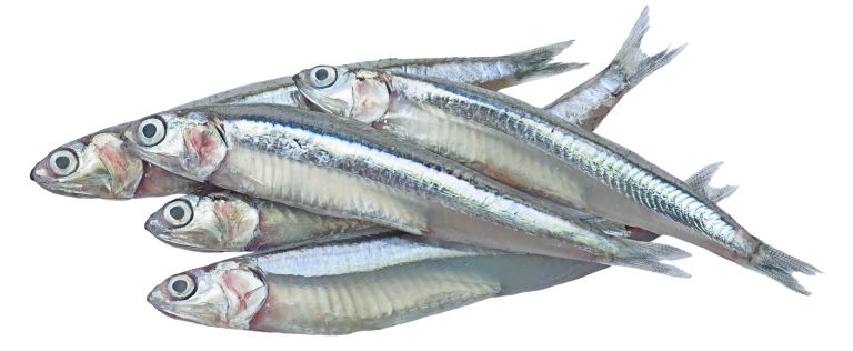 shutterstock_2324973519.jpg