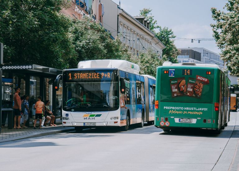 Lpp-f-saso svigelj.jpg