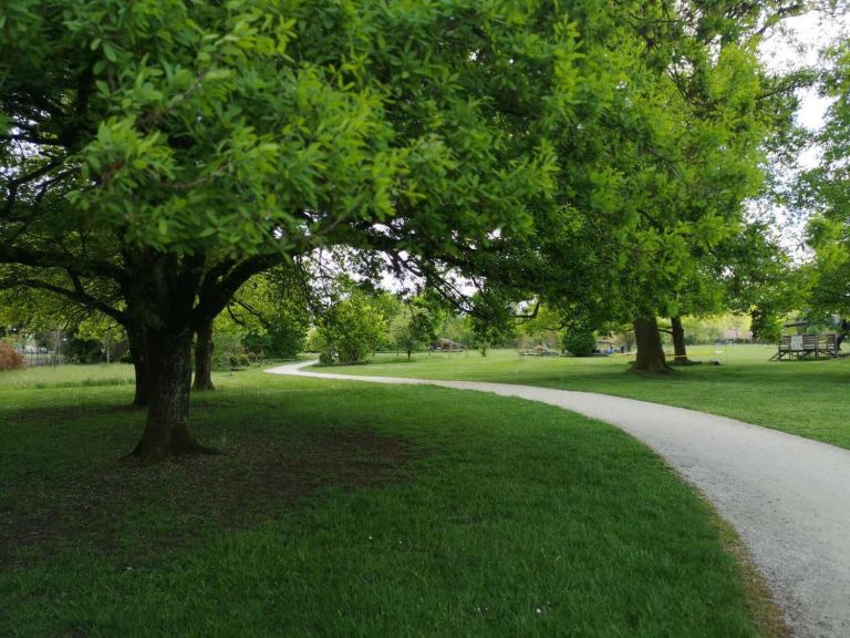 park.jpg