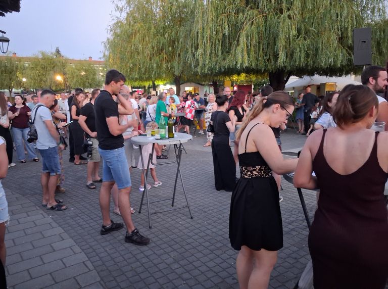 daleka-obala, koncert, mursko-sredisce, ljeto-uz-muru, festival, hrvatska-gana