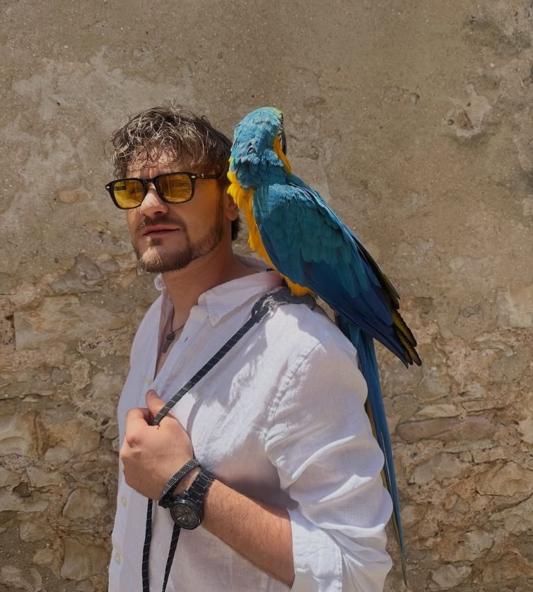 dino-petric