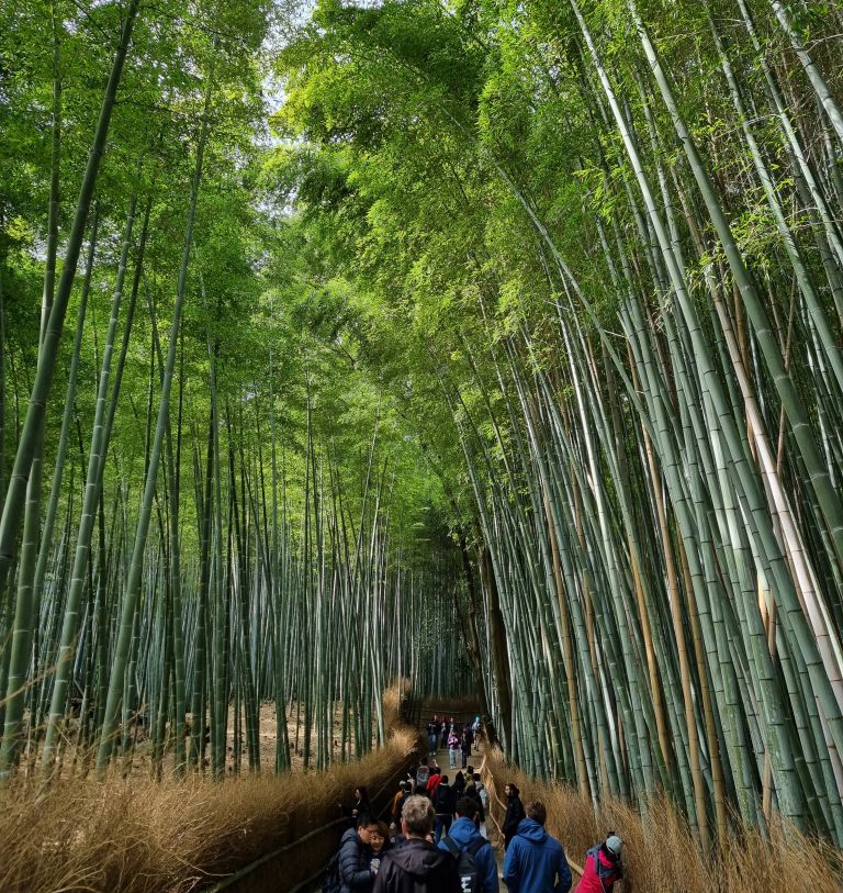 Arashiyama.jpg