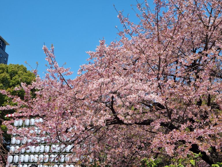 Tokyo.jpg
