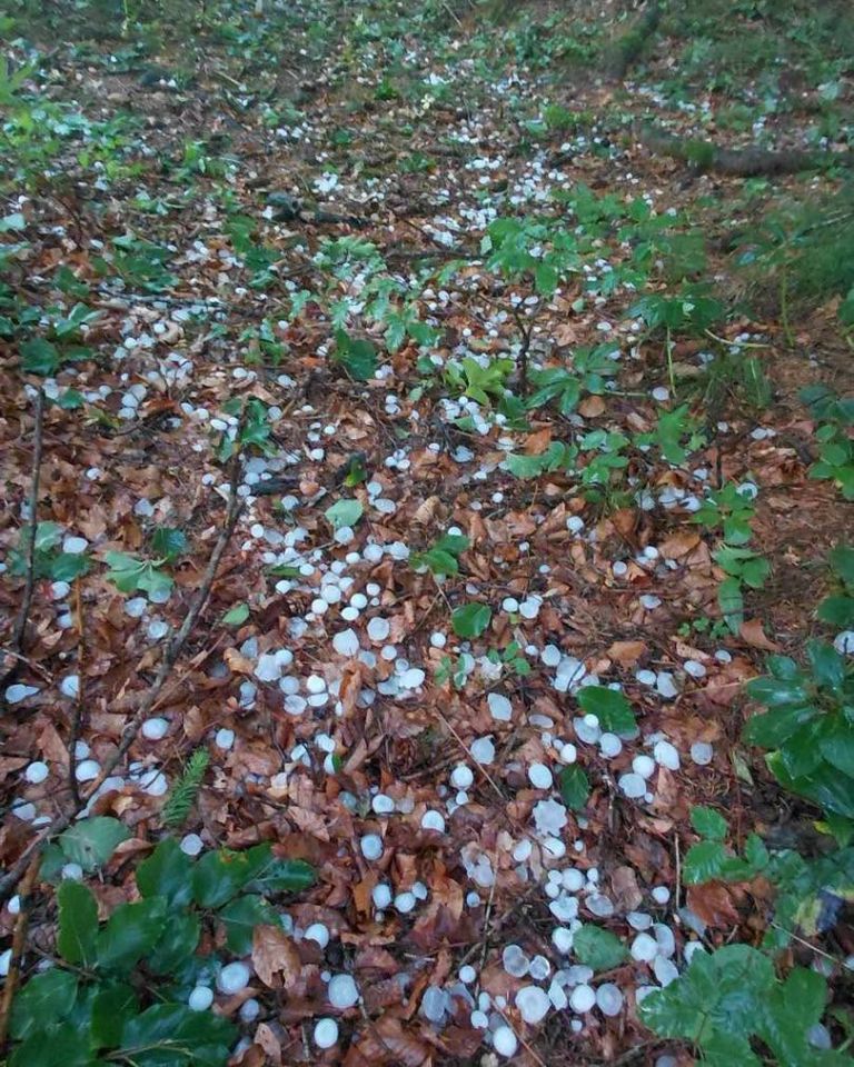 nevihta, vreme, toca