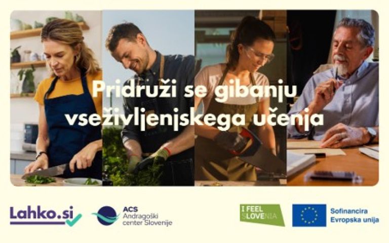 gibanje vseživljenjskega učenja