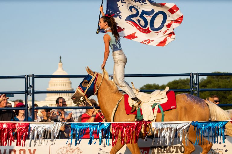 3 rodeo konj 250 pf.jpg
