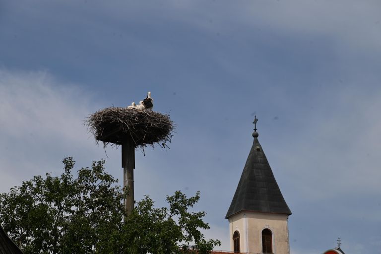 kuzma, obcina-kuzma