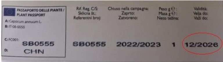 semenska vrečka.jpg